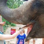Phnom Tamoa Wildlife Rescue Center, Buddha Kiri Cambodia Day Tour - What’s Included and What’s Not
