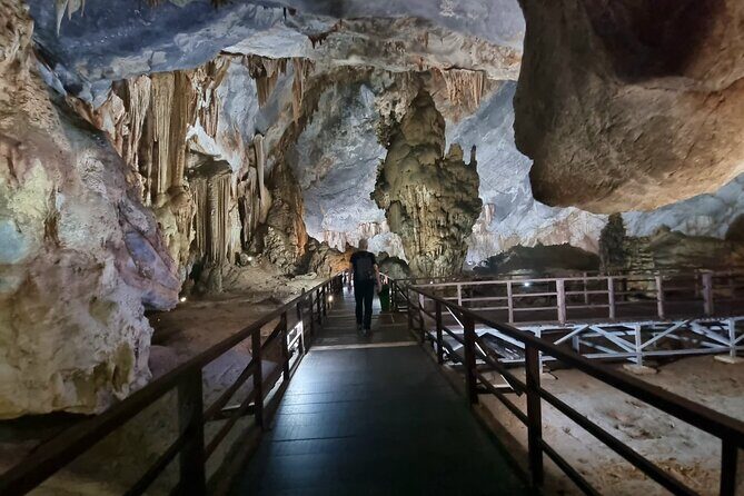 Phong Nha and Paradise Cave Private Tour - Real Insights from Reviewers