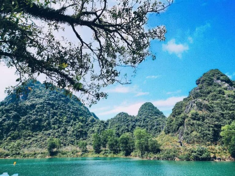 Phong Nha: Paradise Cave & Dark Cave Adventure Day Tour - Introduction to the Tour