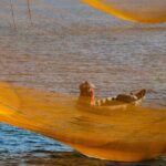 Photography Tour Hoi An Fishing Nets - Practical Considerations