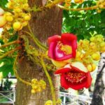 PHU MY SHORE EXCURSION: Saigon Past and Present Tour - A Deep Dive into the Saigon Past and Present Tour