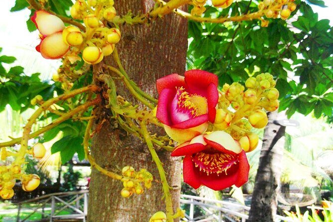 PHU MY SHORE EXCURSION: Saigon Past and Present Tour - A Deep Dive into the Saigon Past and Present Tour