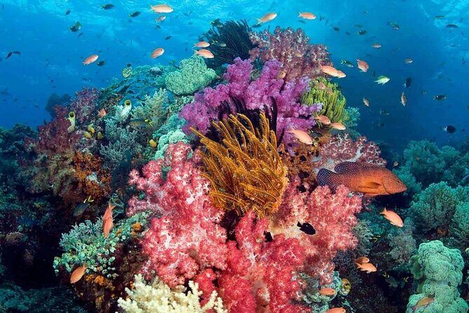 Phu Quoc 3 Island Snorkeling Adventure by Boat - Who Will Enjoy This Tour?