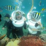 Phu Quoc 4 Islands Snorkeling Tour With Hon Thom Cable Car - What Makes This Tour Stand Out?