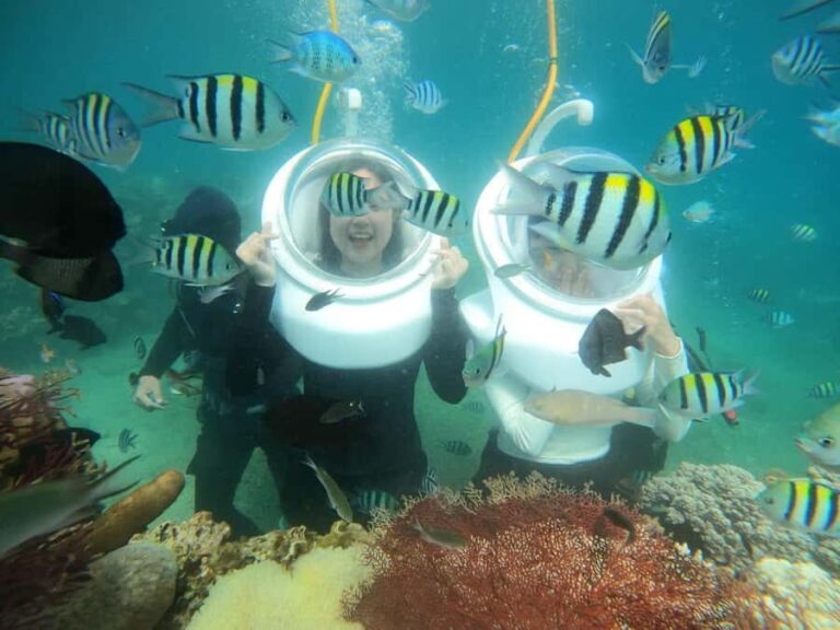 Phu Quoc 4 Islands Snorkeling Tour With Hon Thom Cable Car - What Makes This Tour Stand Out?