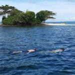 Phu Quoc Coral Reef Diving 1Day Tour - What’s Included and What’s Not