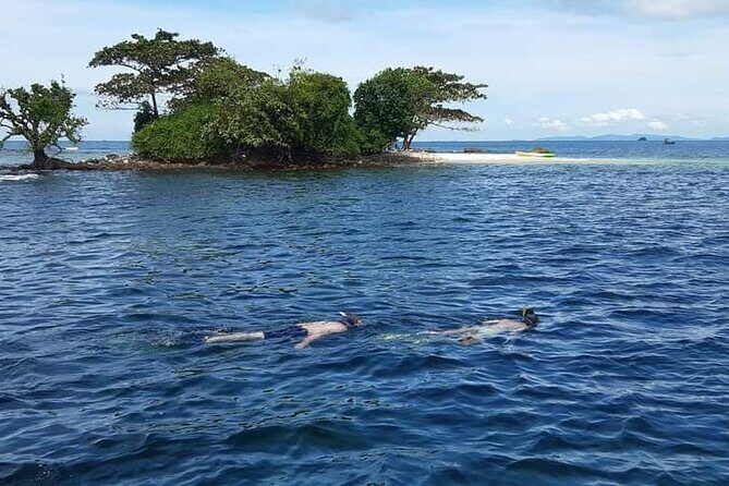 Phu Quoc Coral Reef Diving 1Day Tour - What’s Included and What’s Not