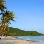 Phu Quoc Cua Can river Full Day Tour - Why This Tour Works Well