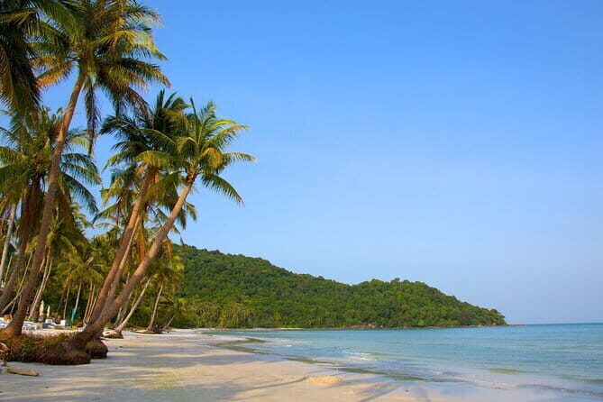 Phu Quoc Cua Can river Full Day Tour - Why This Tour Works Well