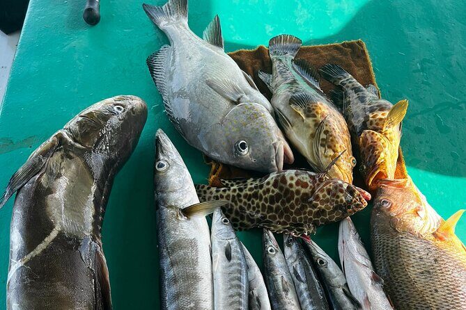 Phu Quoc Deep Fishing Tour - What’s Included & What’s Not