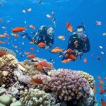 Phu Quoc Escape Boat Journey to Two Stunning Islands - What’s Included and What’s Not?