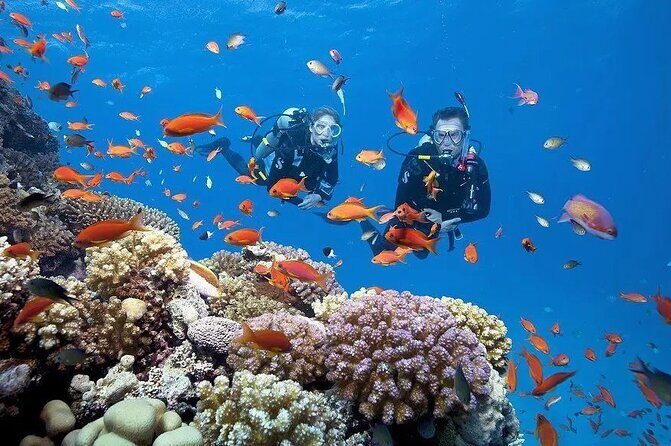 Phu Quoc Escape Boat Journey to Two Stunning Islands - What’s Included and What’s Not?