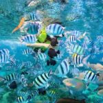 Phu Quoc Full-Day Canoe and Hon Thom Cable Ride - Practical Insights and What to Expect