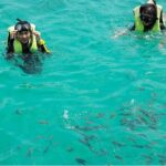 Phu Quoc Island Hopping and Snorkeling Tour with Lunch - Transportation and Logistics