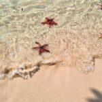 Phu Quoc North Island & Kayaking Tour - Practical Aspects of the Tour