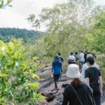 Phu Quoc Trekking and Saddle Up Board in Rach Tram River - Considerations and Potential Drawbacks