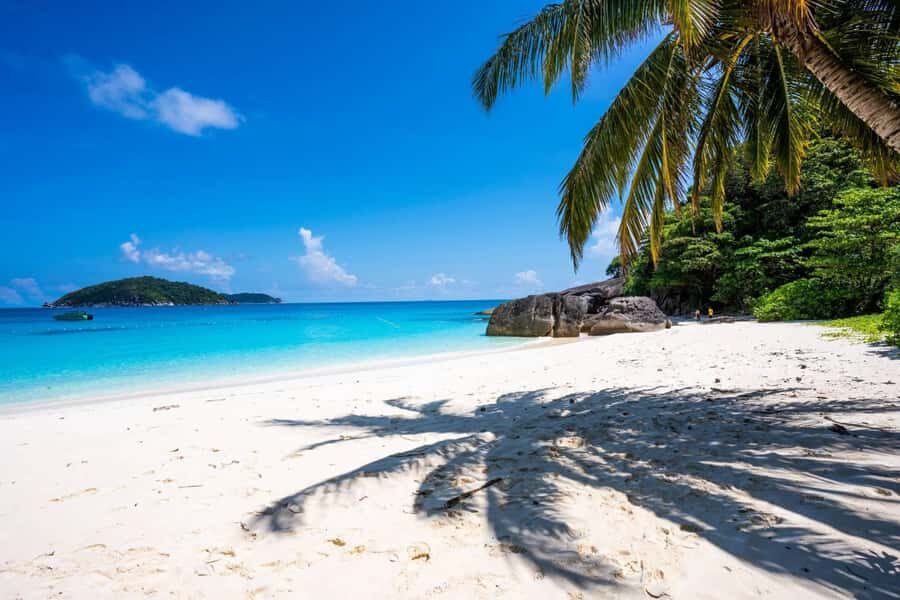 Phuket: 2 Days Itinerary Similan & Phi Phi Islands Day Tour - The Practical Side: Transportation, Timing & Group Size