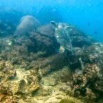 Phuket: 3 Day PADI Open Water Scuba Course with Boat Trip - The Itinerary Breakdown: What to Expect Each Day