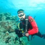 Phuket: 3 Dive Koh Phi Phi/Shark Point Scuba Diving Day Trip - Why This Tour Works Well