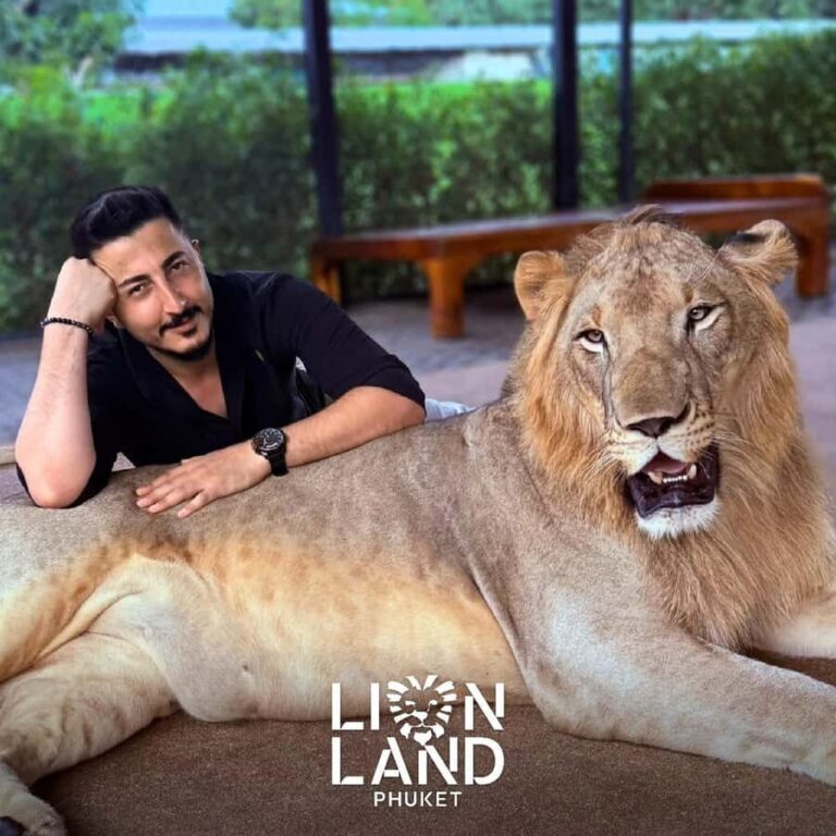 Phuket Big Buddha city tour + Lion and ATV + Tour guide(ENG) - The Sum Up