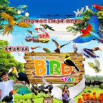 Phuket: Bird Park, Elephant Feeding, ATV Ride & City Tour - The Authentic Experience & Value