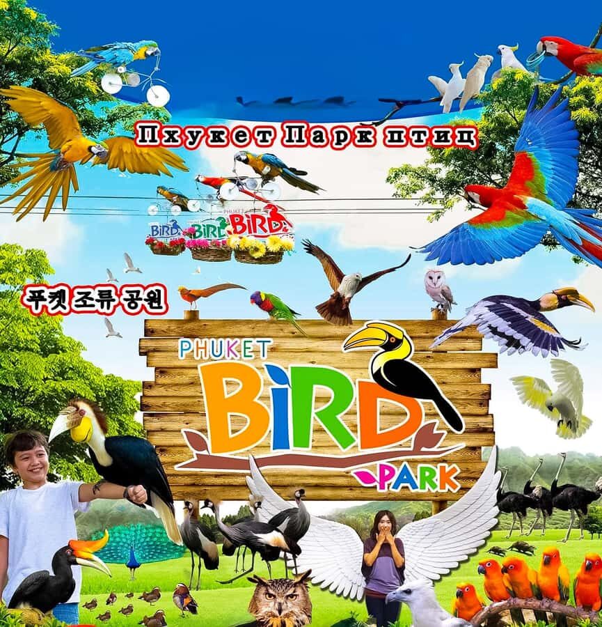 Phuket: Bird Park, Elephant Feeding, ATV Ride & City Tour - The Authentic Experience & Value