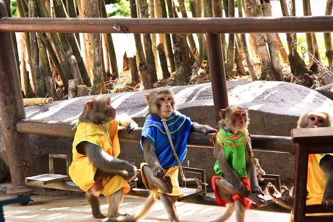 Phuket City Tours - Real Insights from Guides and Travelers