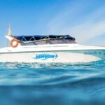 Phuket: Coral Island Day Trip by Speedboat & Buffet Lunch - What Makes This Tour Stand Out?