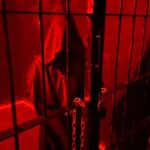 Phuket: Dark House Horror Quest Game - Is It Worth the Price?