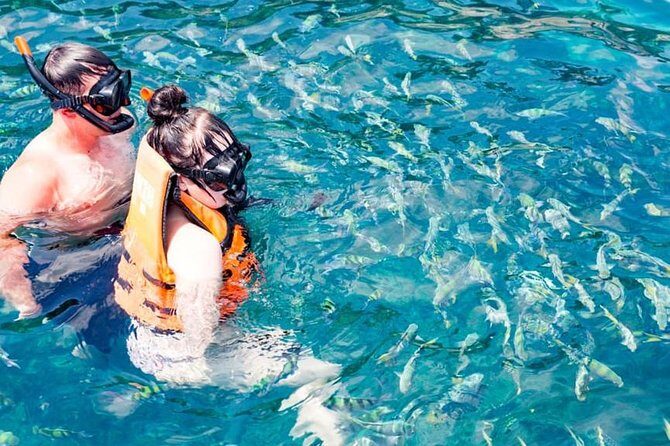 Phuket Dolphin Quest: Racha & Maiton Island Expedition - Practical Details: What You Need to Know