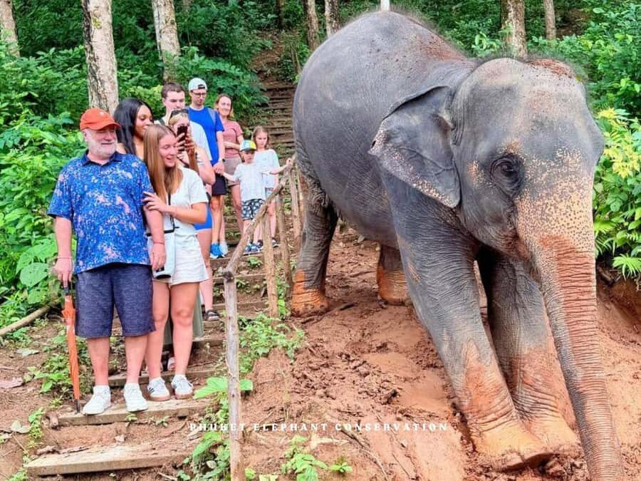 Phuket Elephant Conservation: Half-Day I Cooking Class I DIY - Why This Tour Works Well
