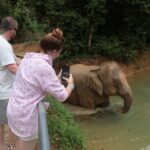 Phuket Elephant Sanctuary Observation and Cooking Class - The Culinary Experience: Thai Cooking and Tiedye Craft