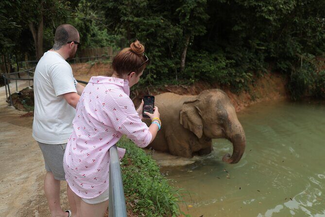 Phuket Elephant Sanctuary Observation and Cooking Class - The Culinary Experience: Thai Cooking and Tiedye Craft