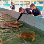 Phuket: Elephant & Sea Turtle Conservation Tour with Rafting - What We Loved About This Tour