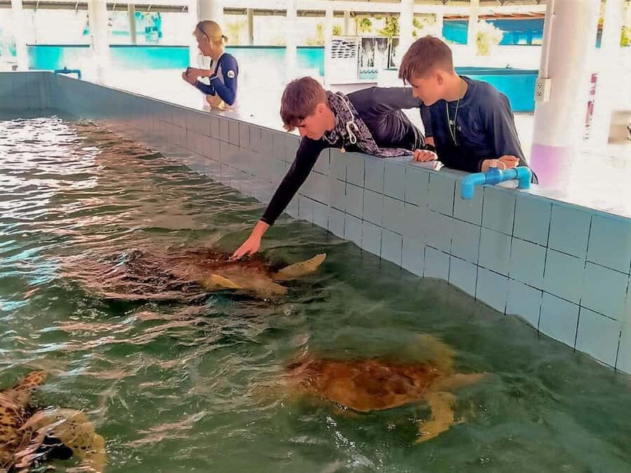 Phuket: Elephant & Sea Turtle Conservation Tour with Rafting - What We Loved About This Tour