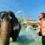 Phuket: Full-Day Elephant Explorer at Phuket Elephant Care - The Real Value of the Full-Day Experience