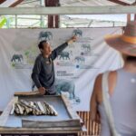 Phuket: Full-Day Ethical Elephant Sanctuary Tour with Lunch - Practical Details and Tips