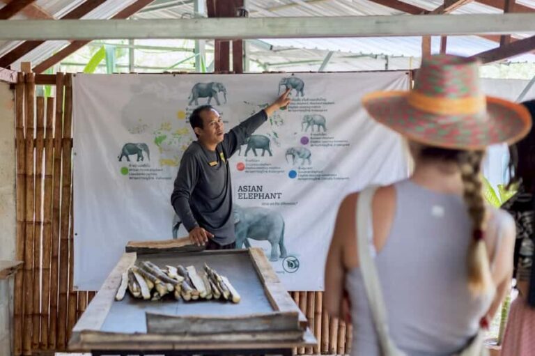 Phuket: Full-Day Ethical Elephant Sanctuary Tour with Lunch - Practical Details and Tips