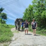 Phuket: Guided Tour to Elephant Sanctuary with Transfer - Transportation & Practical Details