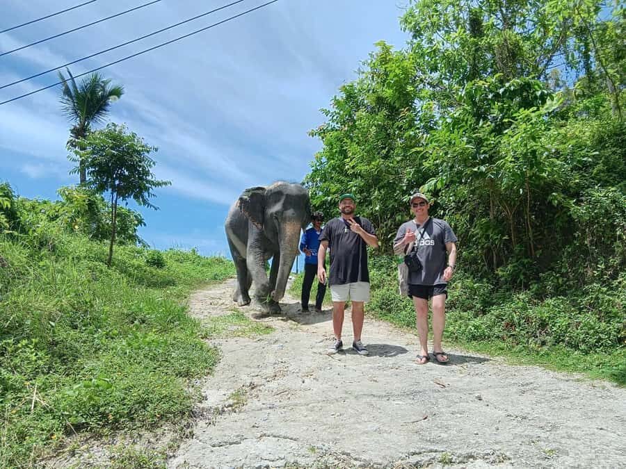 Phuket: Guided Tour to Elephant Sanctuary with Transfer - Transportation & Practical Details