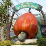 Phuket Half-Day City Tour with Big Buddha, Viewpoint & Temple - A Closer Look at the Itinerary