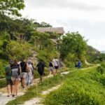 Phuket: Half-Day Ethical Elephant with Meal and Transfer - What Makes This Tour Stand Out?