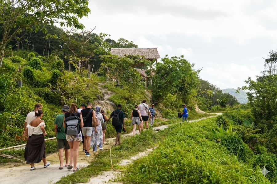 Phuket: Half-Day Ethical Elephant with Meal and Transfer - What Makes This Tour Stand Out?