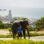 Phuket Highlights Tour Big Buddha Temple and Elephant Sanctuary - Real Travelers’ Insights
