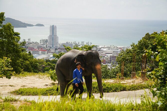 Phuket Highlights Tour Big Buddha Temple and Elephant Sanctuary - Real Travelers’ Insights