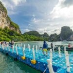 Phuket: Hong Island Krabi and Phang Nga By Premium Catamaran - An In-Depth Look at the Tour Experience