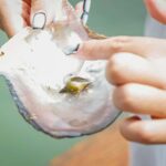 Phuket: Intara Farm & Pearl Factory Half-Day Tour with Lunch - Visiting the Pearl Factory