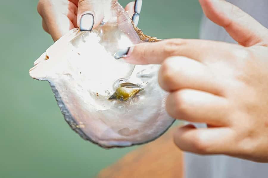 Phuket: Intara Farm & Pearl Factory Half-Day Tour with Lunch - Visiting the Pearl Factory