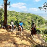 Phuket Jungle Horseback Ride with Scenic Forest Views - Practical Details & What Matters to You