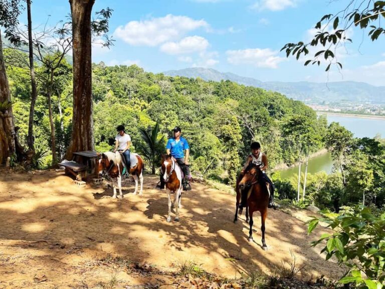 Phuket Jungle Horseback Ride with Scenic Forest Views - Practical Details & What Matters to You
